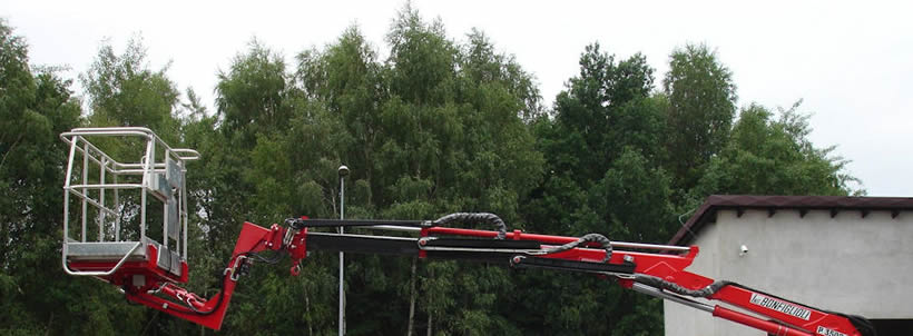 Loading Crane with Work Platform
