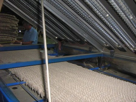 Stretcher dryer expander